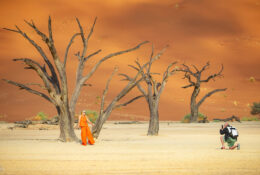 Namibia_August (54/135)